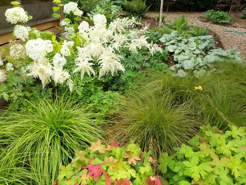 Traditional Country Planting Design - Loughborough