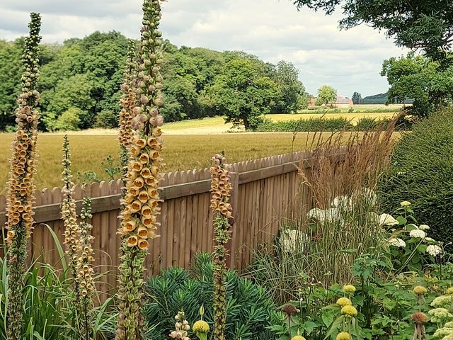 Contemporary Country Garden Design - Stanford on Soar, Loughborough.