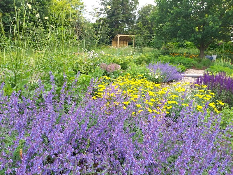 Contemporary Planting Design - Melton Mowbray