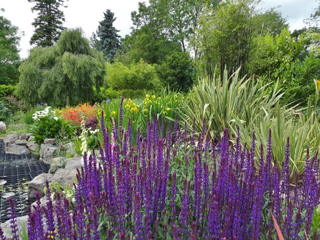 Country Garden Planting Design - Rothley, Loughborough