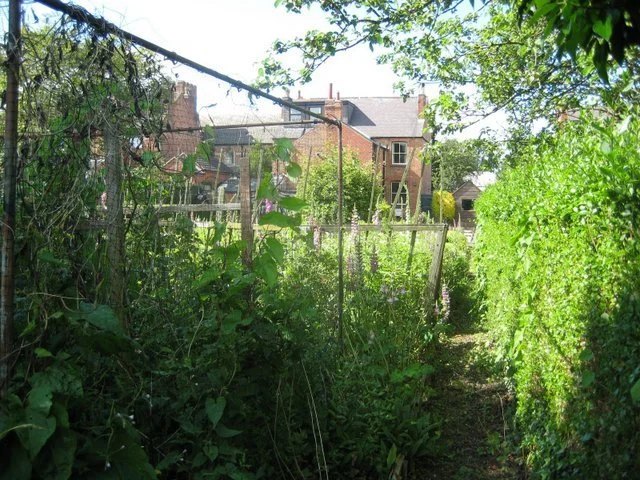 Before Transformation