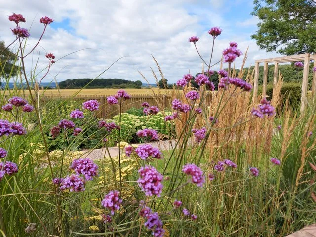 Stanford on soar contemporary country garden planting