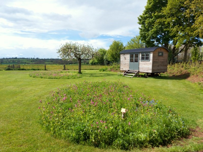 Rural Country Garden Design - Northamptonshire