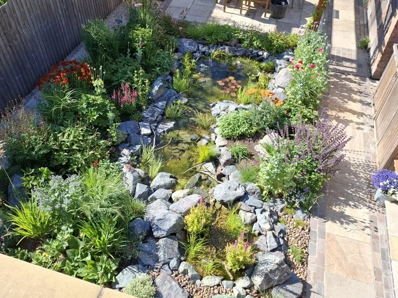 Wildlife Pond at Bel Grierson Garden Design