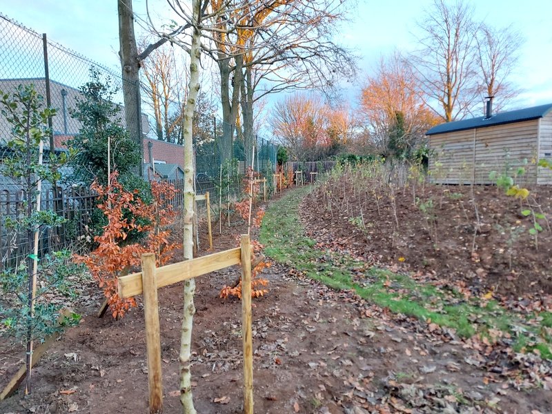 Installing the Bund and Planting