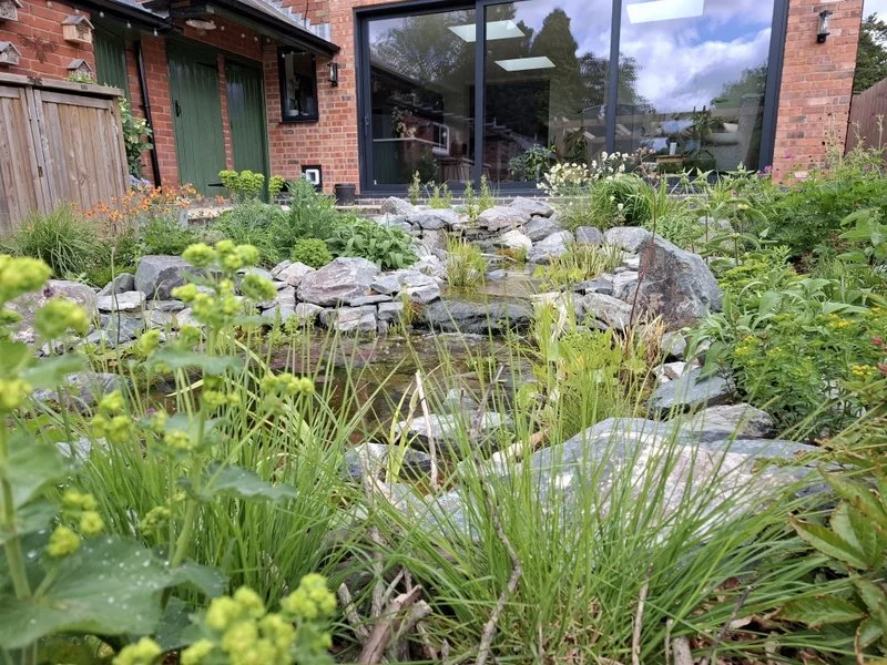 Wildlife Pond at Bel Grierson Garden Design