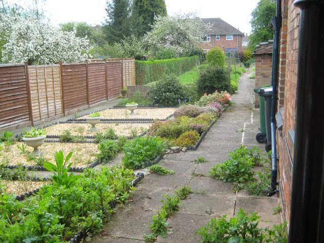 Before Transformation