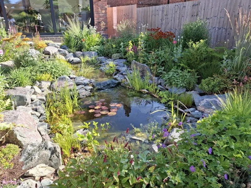 Wildlife Pond at Bel Grierson Garden Design