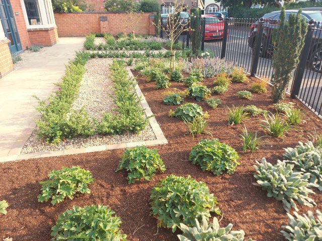 Formal Front Garden Design - Loughborough