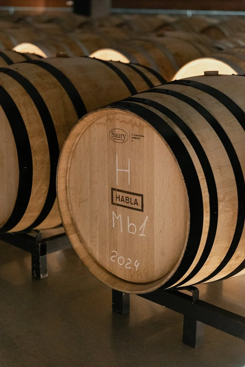 Habladesilencio-bodegas-18.jpg