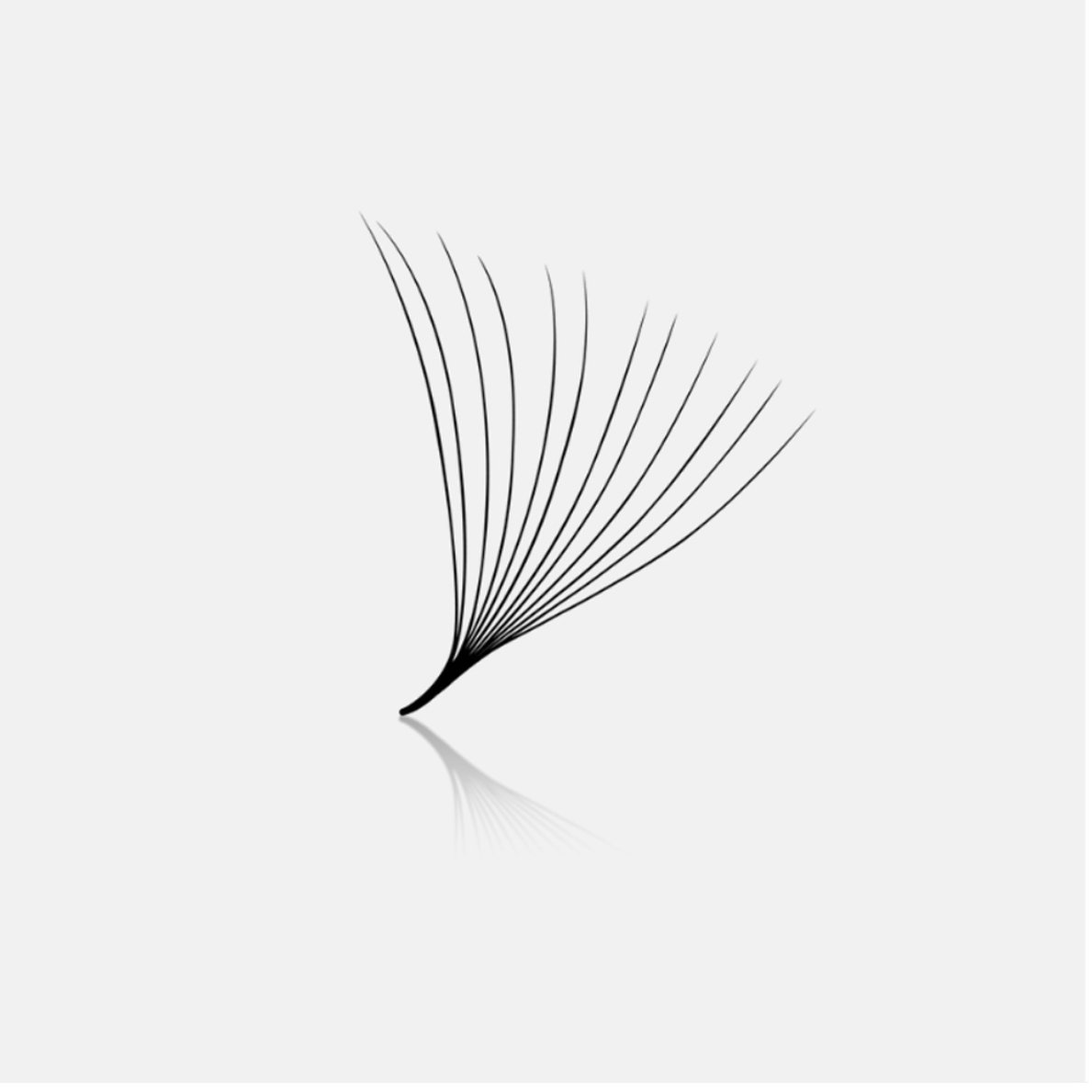 12D loose fan.jpg