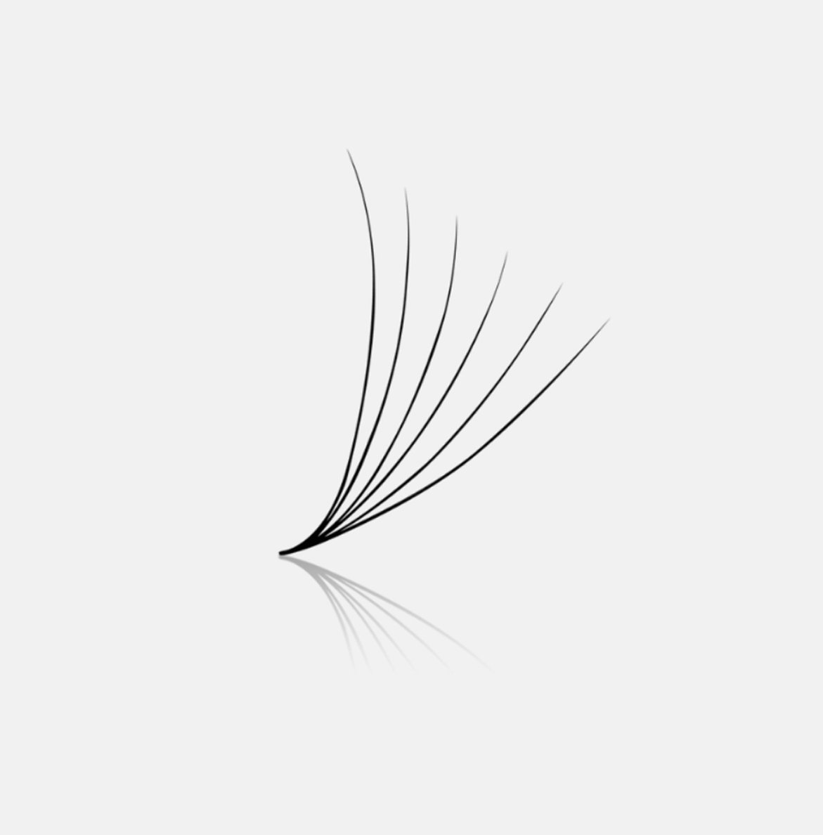 6D 0.07 D Curl Loose Fans