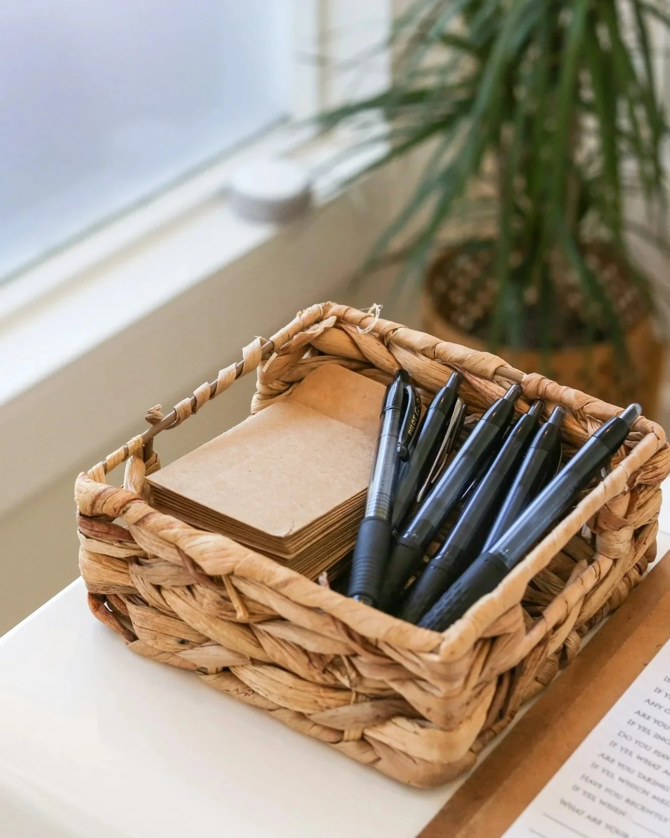 A woven basket on a white surface holds a notebook and several black pens. In the background, a potted plant with long green leaves is visible.