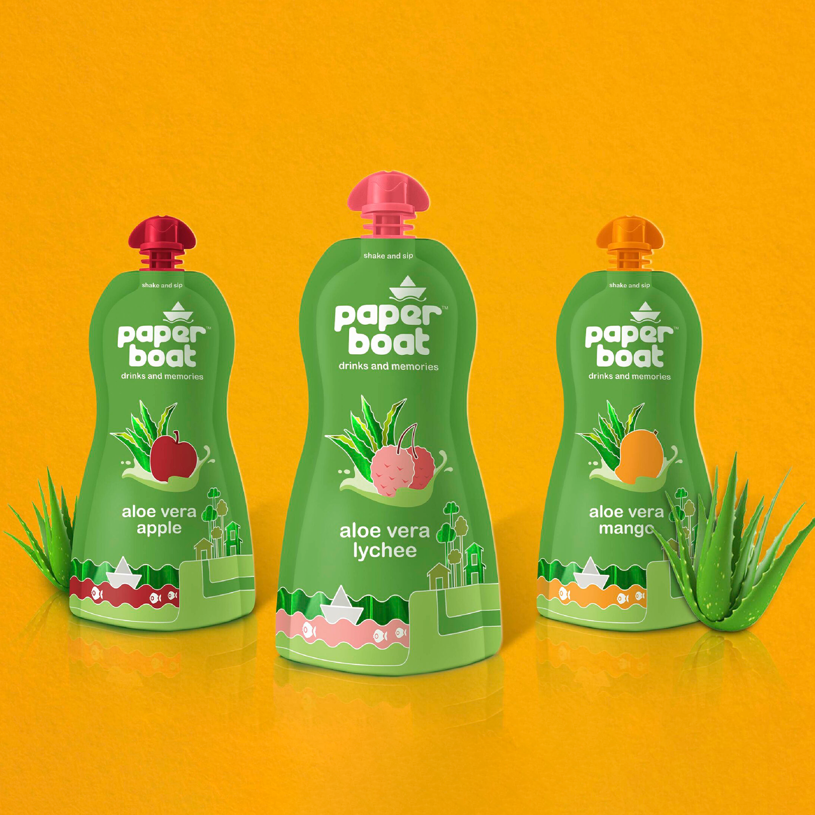 Elephant Design_Hector Beverages_Paper boat_Packaging Design_Food_Beverages_Ethnic Drinks