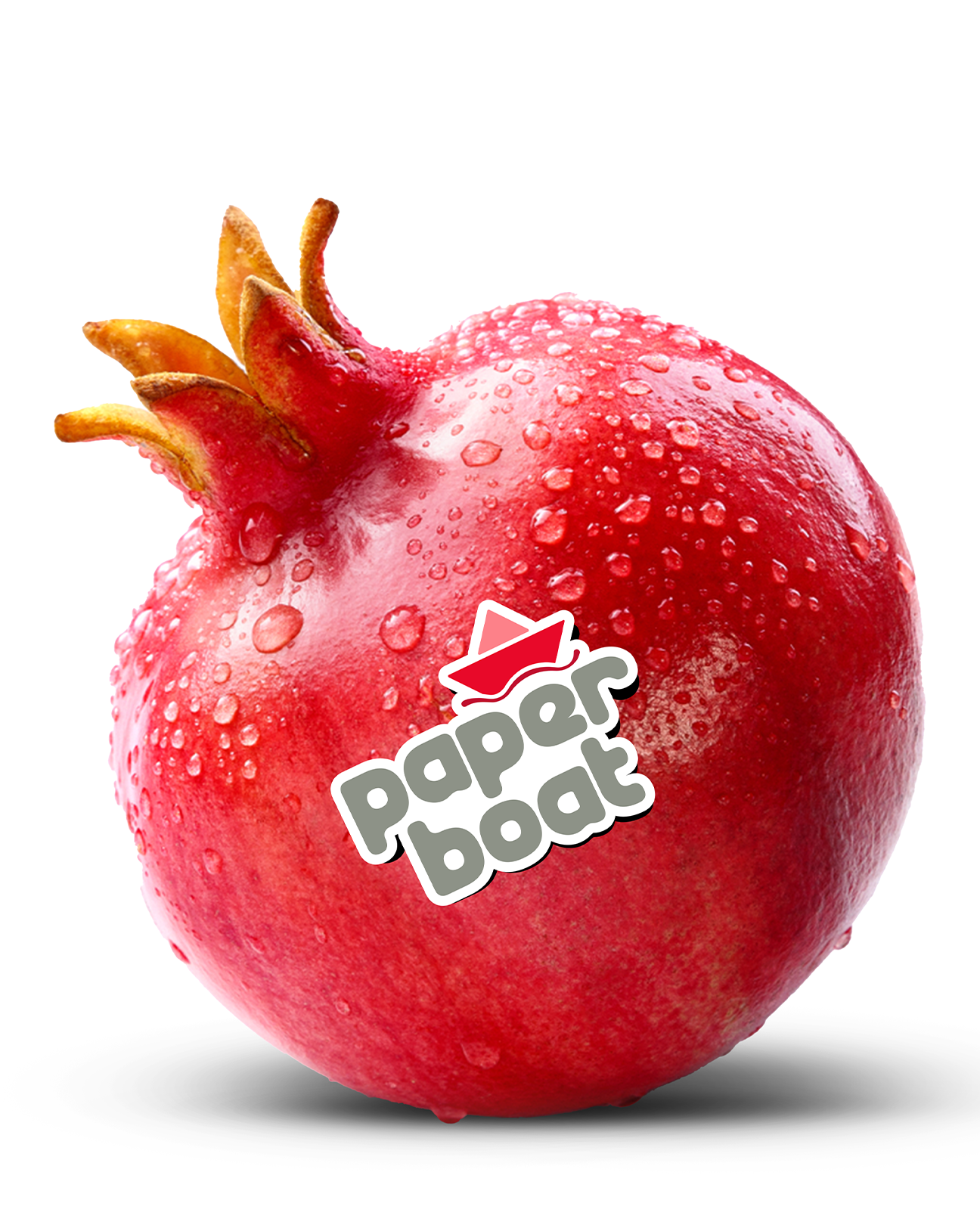 Elephant Design_Hector Beverages_Paper boat_Brand Strategy_Food_Beverages_Ethnic Drinks brand_6B.png