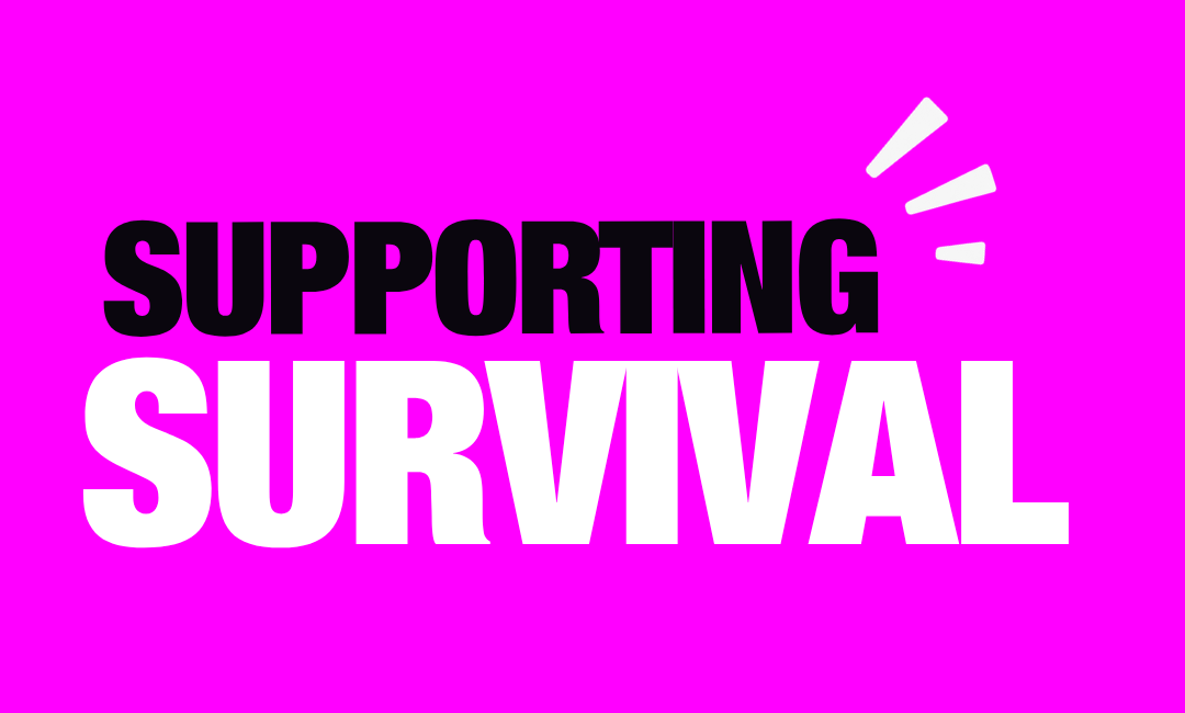 Supporting survival: a big give campaign