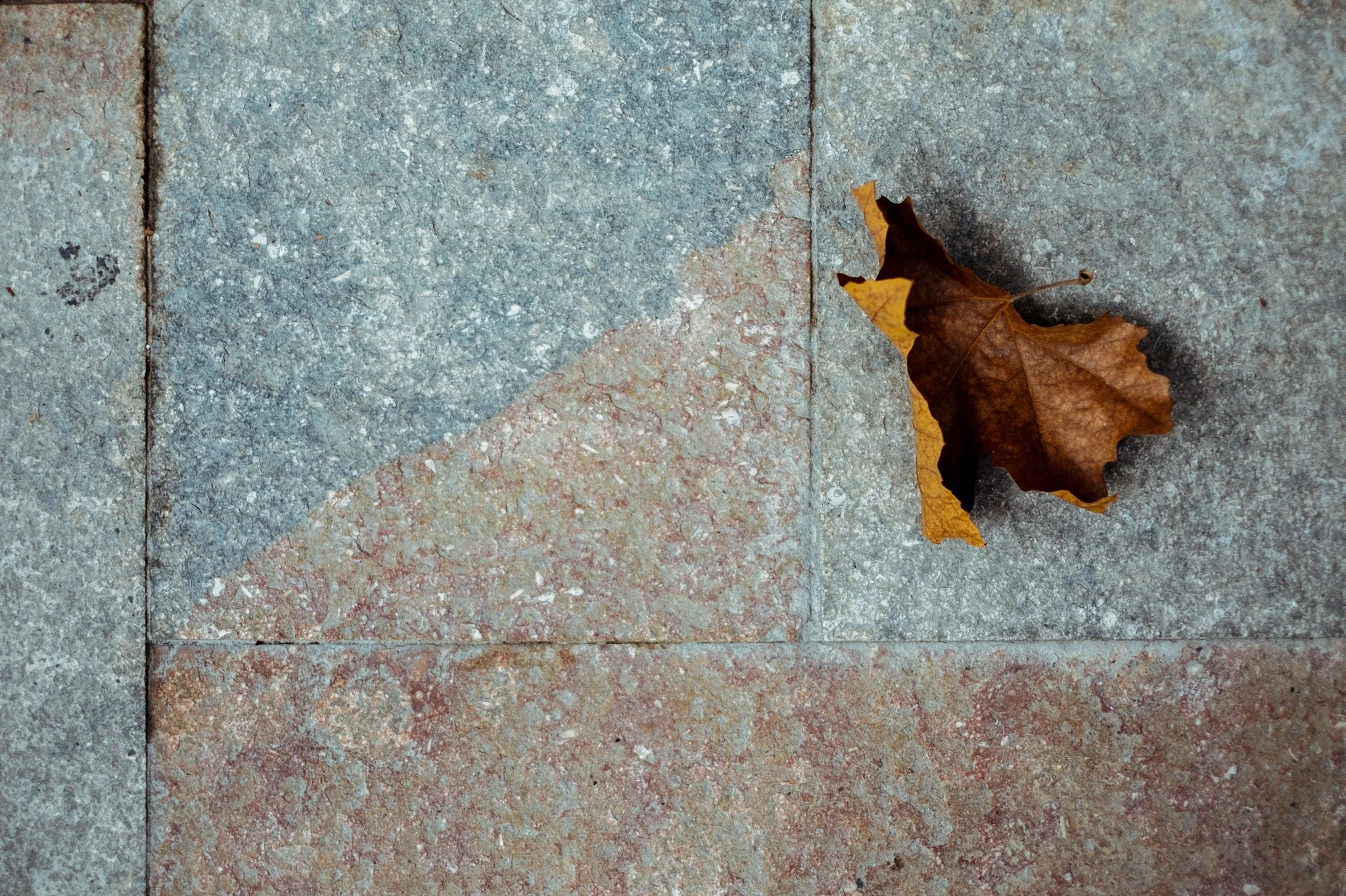 20141028184841_XT1_Barcelona_Copyright_EjunLow_0466.jpg