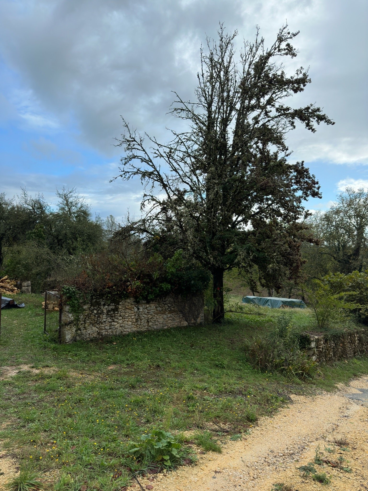 IMG_7669.jpeg