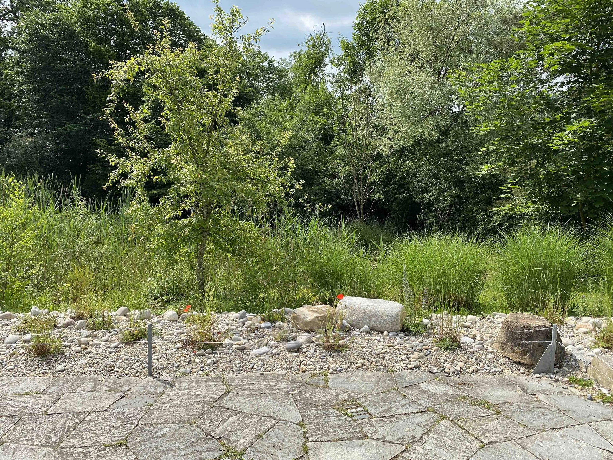 Ein Garten mit verschiedenen grünen Bäumen und Sträuchern, im Vordergrund ein Kiesweg mit großen Steinen und einem Pflasterweg.