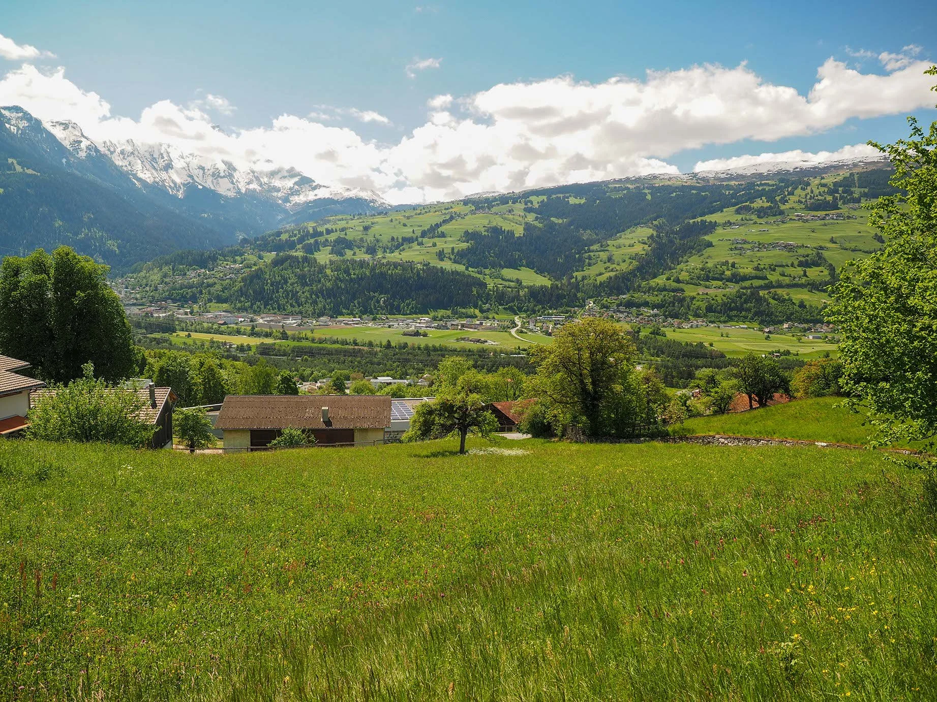 Grünes Wiesenfeld mit einzelnen Bäumen, kleine Häuser im Vordergrund, hügelige Landschaft, Berge mit Schnee im Hintergrund, bewölkter Himmel.