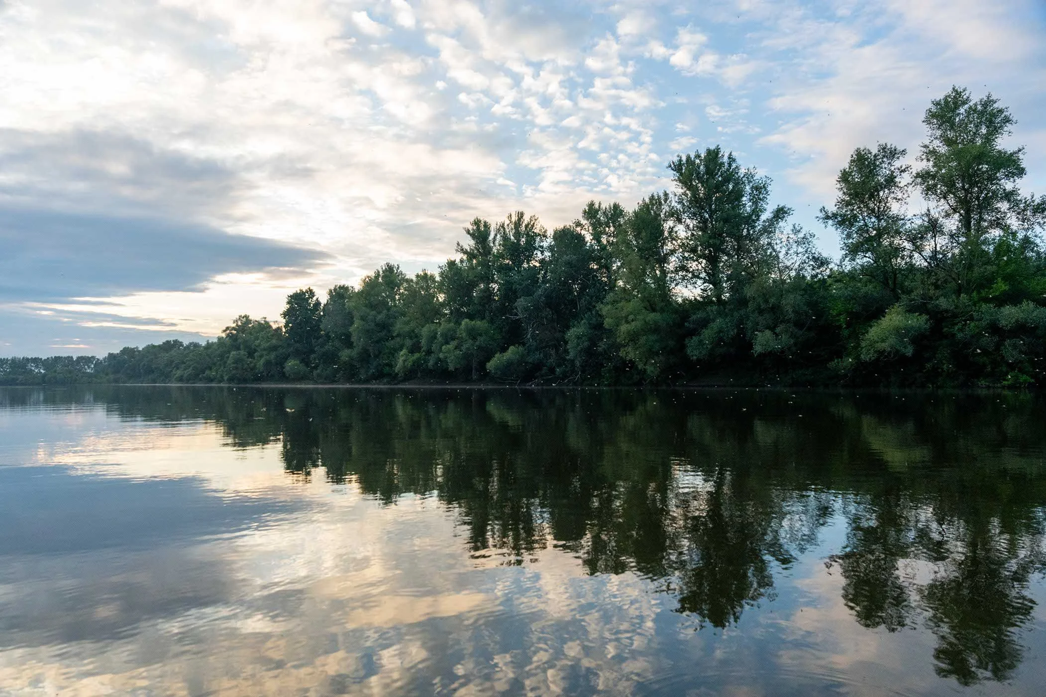Ein ruhiger Fluss mit spiegelndem Wasser, umgeben von dichten Bäumen unter einem bewölkten Himmel.