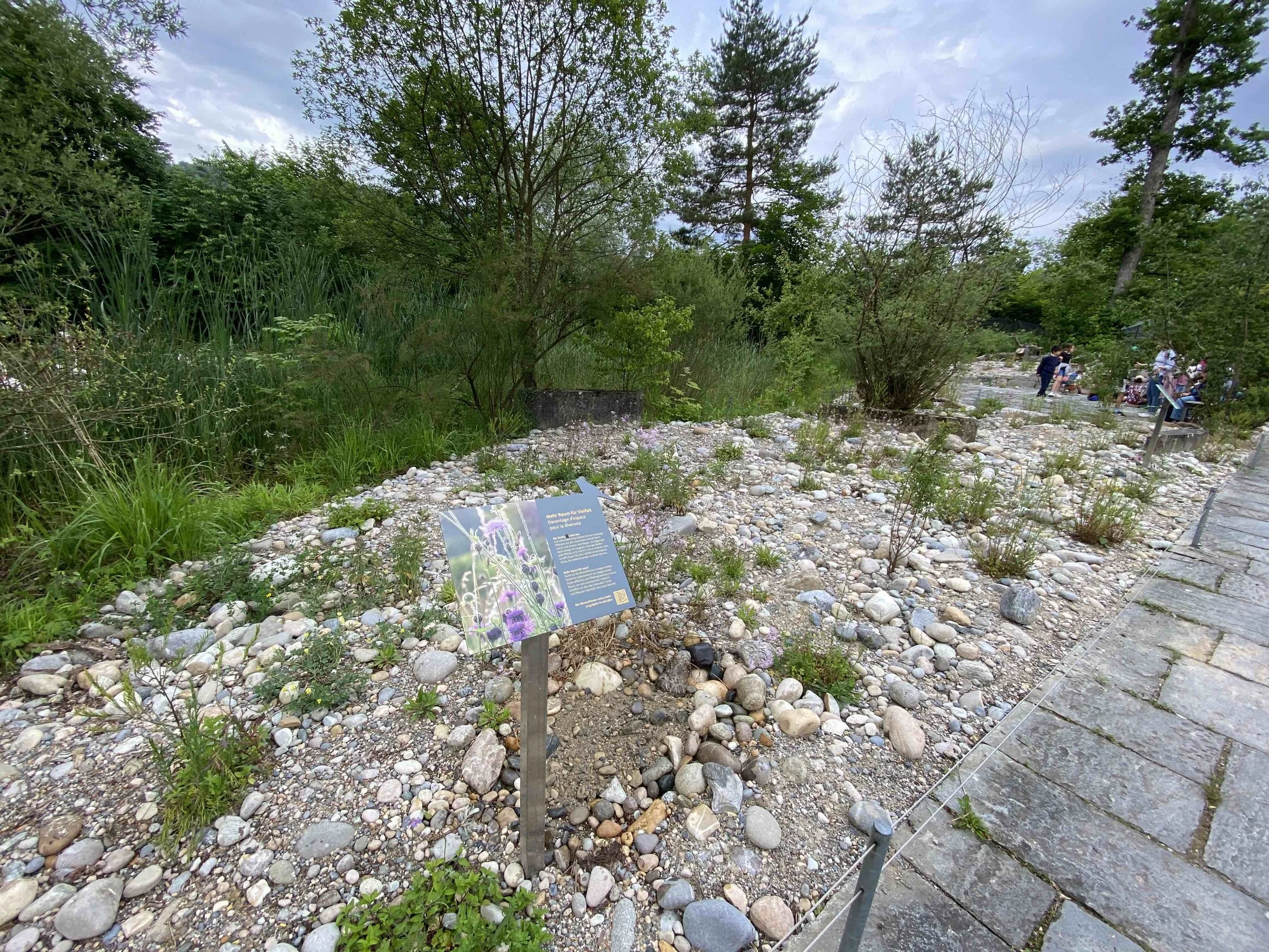 Ein Naturpark mit Bäumen, Sträuchern und einem Flussbett aus Kieselsteinen, auf dem eine Tafel mit Informationen steht. Im Hintergrund sind Menschen beim Spazierengehen.