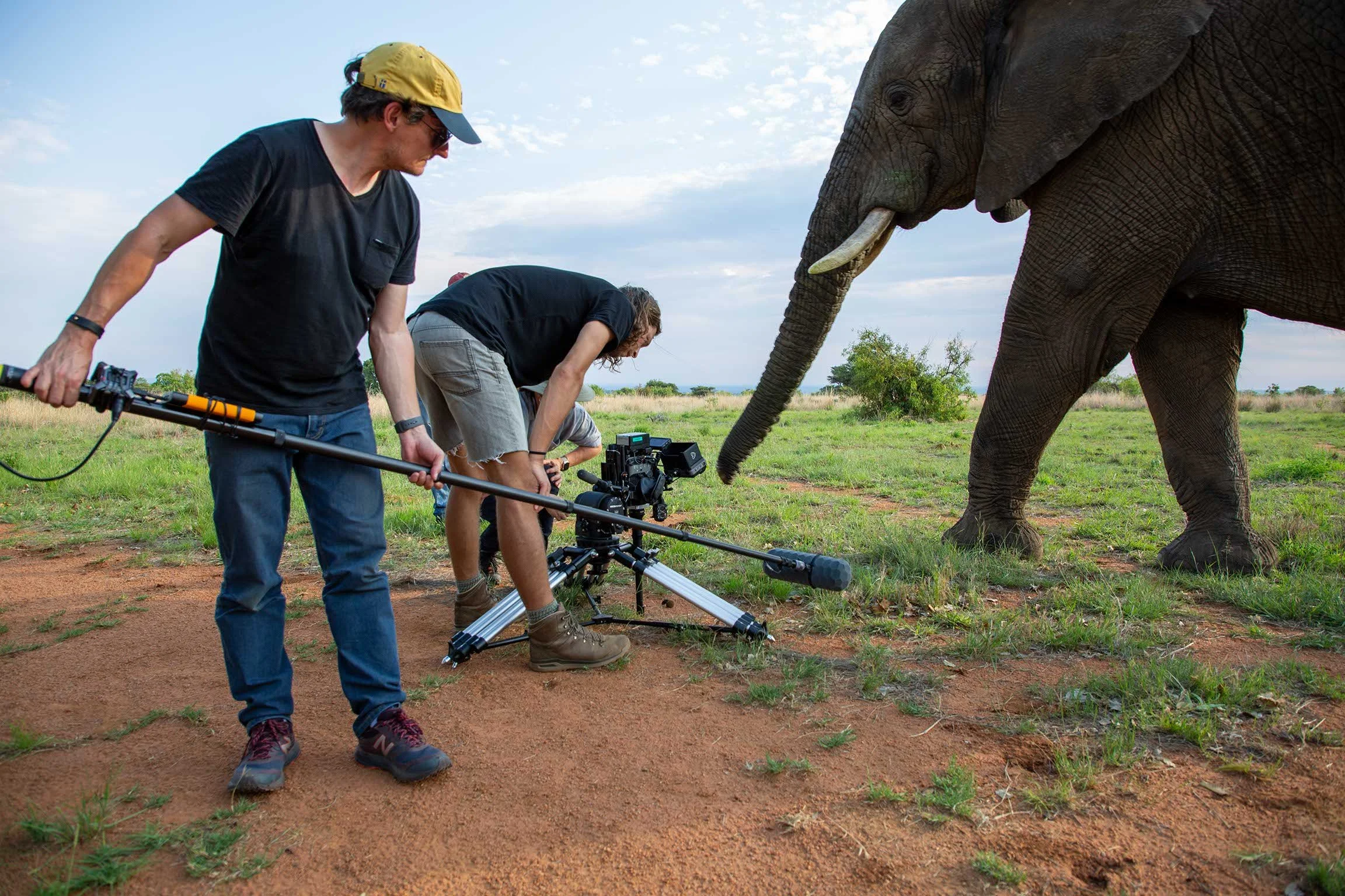 Drei Menschen arbeiten mit Kameraausrüstung auf einer Savanne, während ein großer Elefant neben ihnen steht.