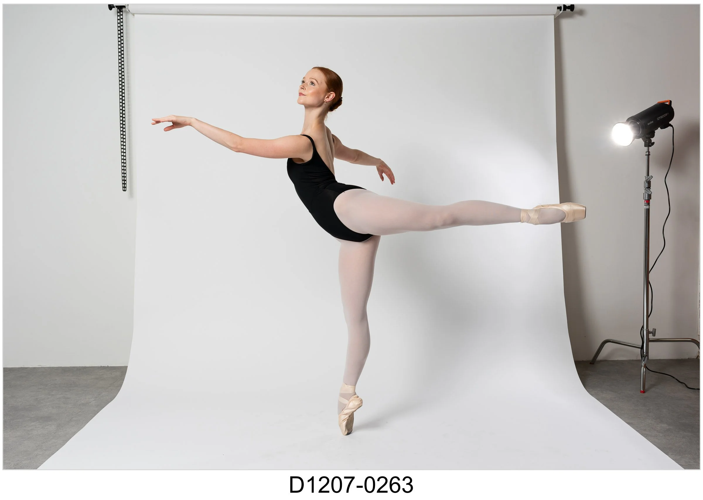 0263.jpg