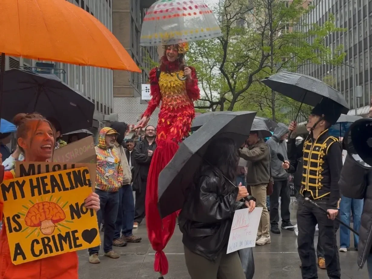Activists March for Cognitive Liberty in NYC and Advocate in San Francisco