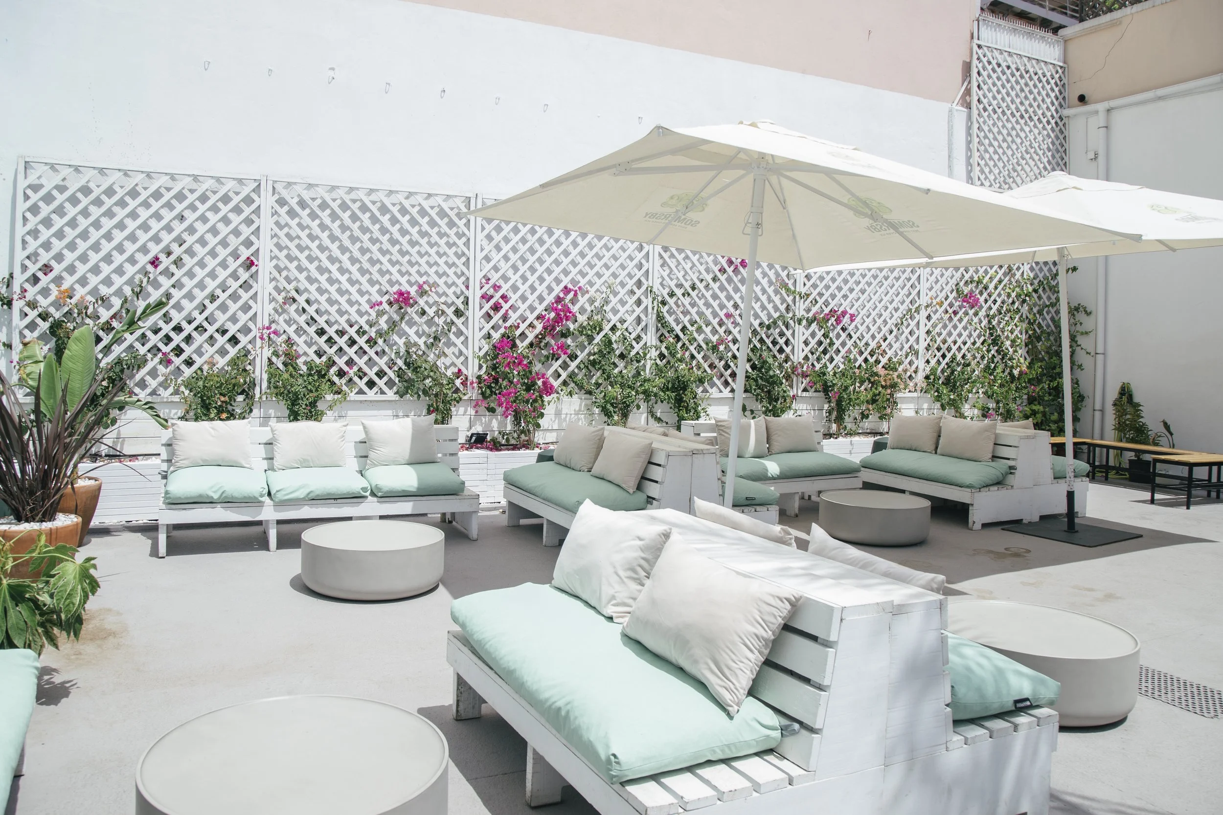 Terraço e esplanada do restaurante Cobaia em Alvalade, Lisboa ao ar livre com assentos de madeira pintados de branco com almofadas verde-menta, guarda-sol branco, pcercado por cerca de treliça branca decorada com flores rosa e verde, ambiente fresco.