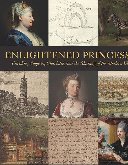 book enlightened princesses.jpg