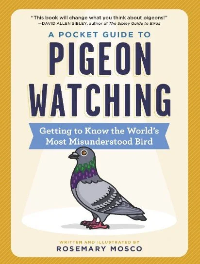 book pigeon watching.jpg