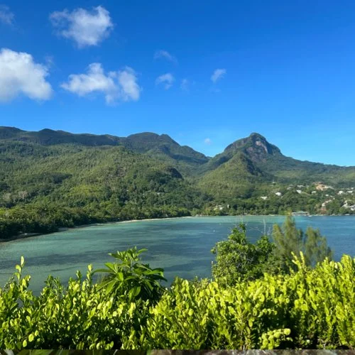 CE View.jpg