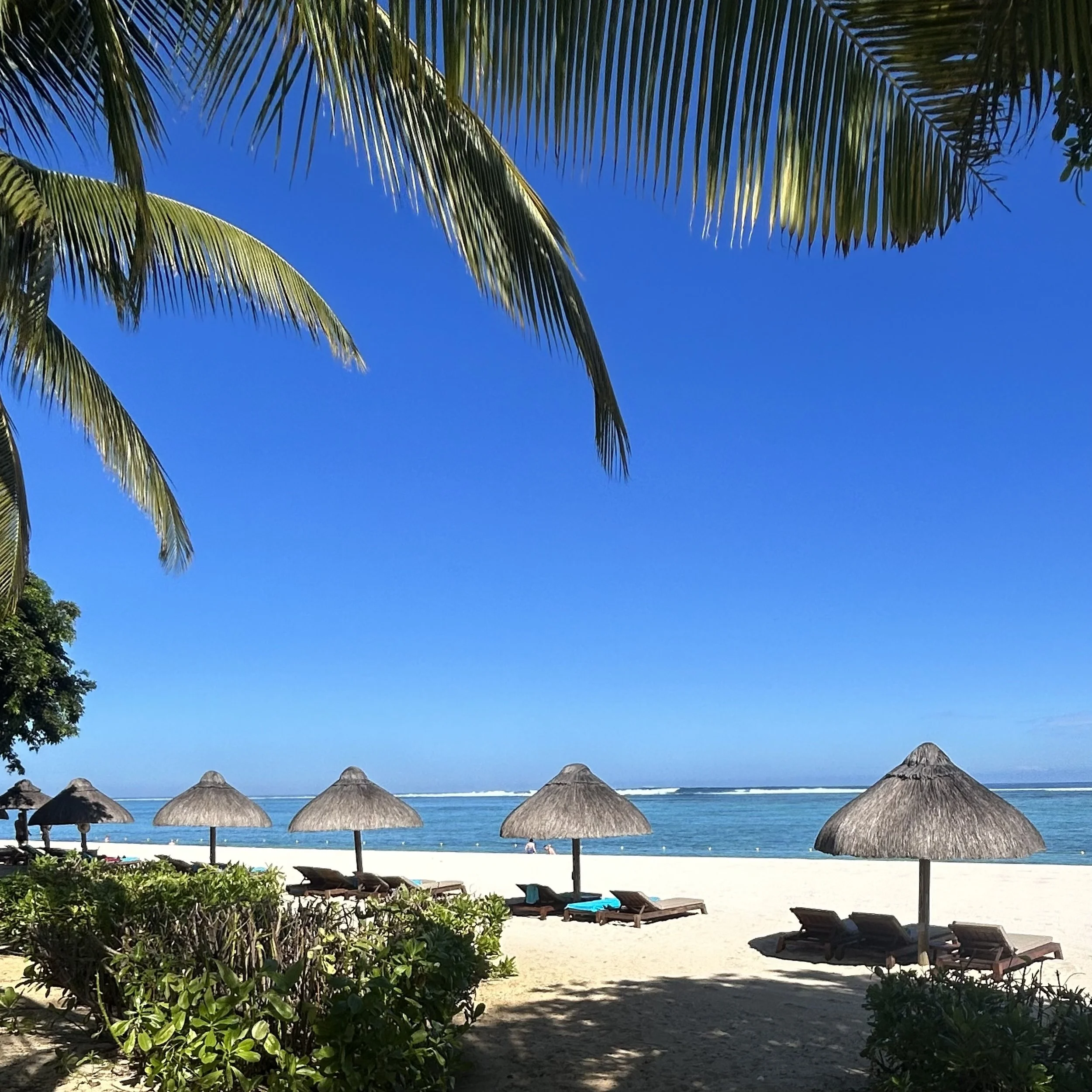 Don’t Let the Word ‘Winter’ Fool You: What to Expect in Mauritius in June, July and August.