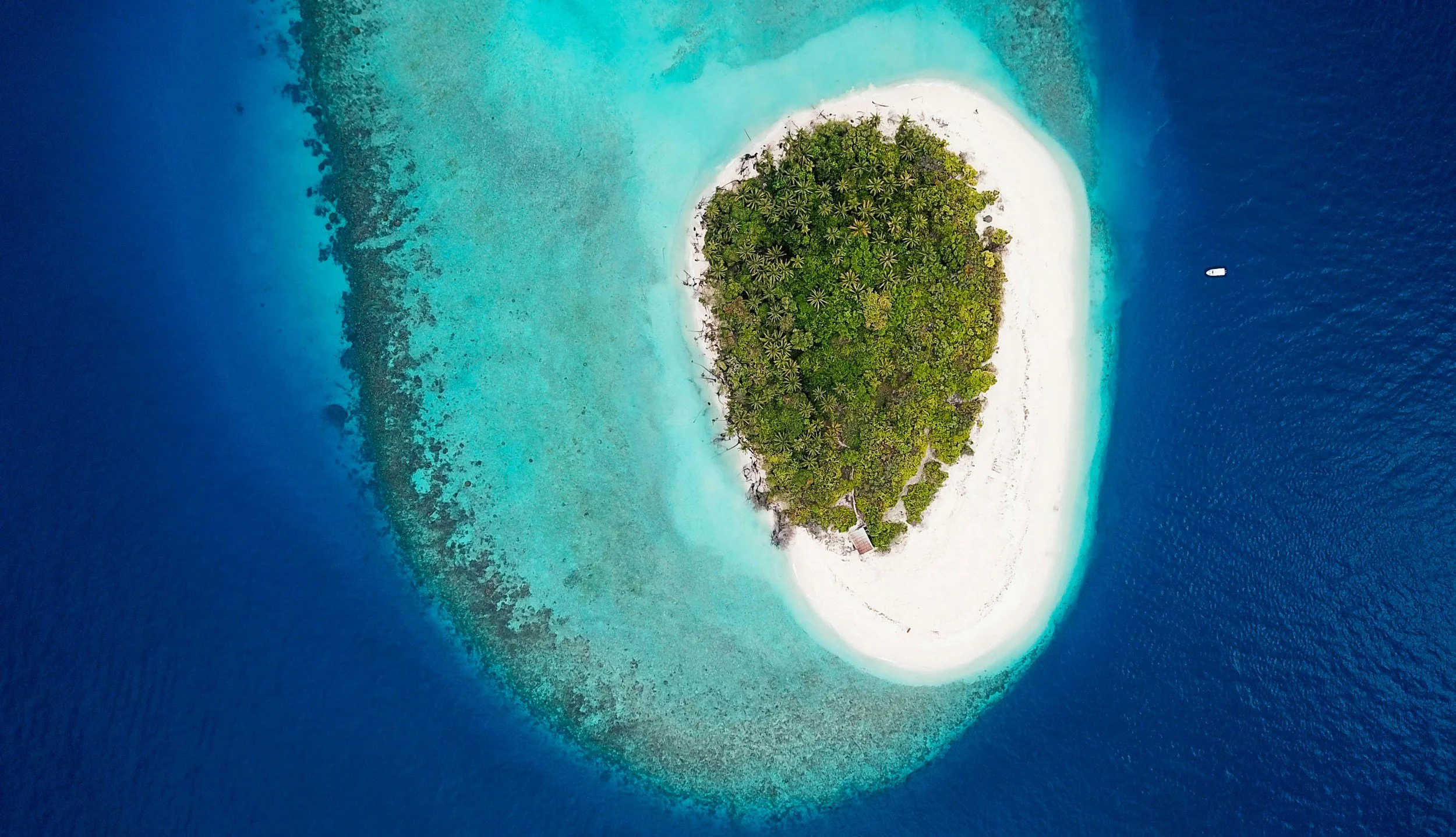 An Island in the Maldives Ariel Shot