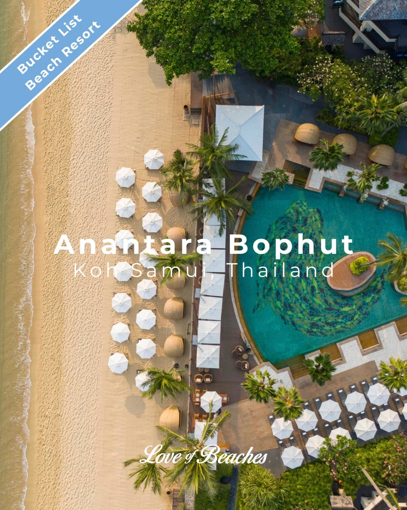 Bucket List Beach Resort
Anantara Bophut, Koh Samui, Thailand 

From pool to shoreline in a matter of moments.

#bestbeaches #bucketlistbeaches #luxuryresorts #loveofbeaches #travelphotography