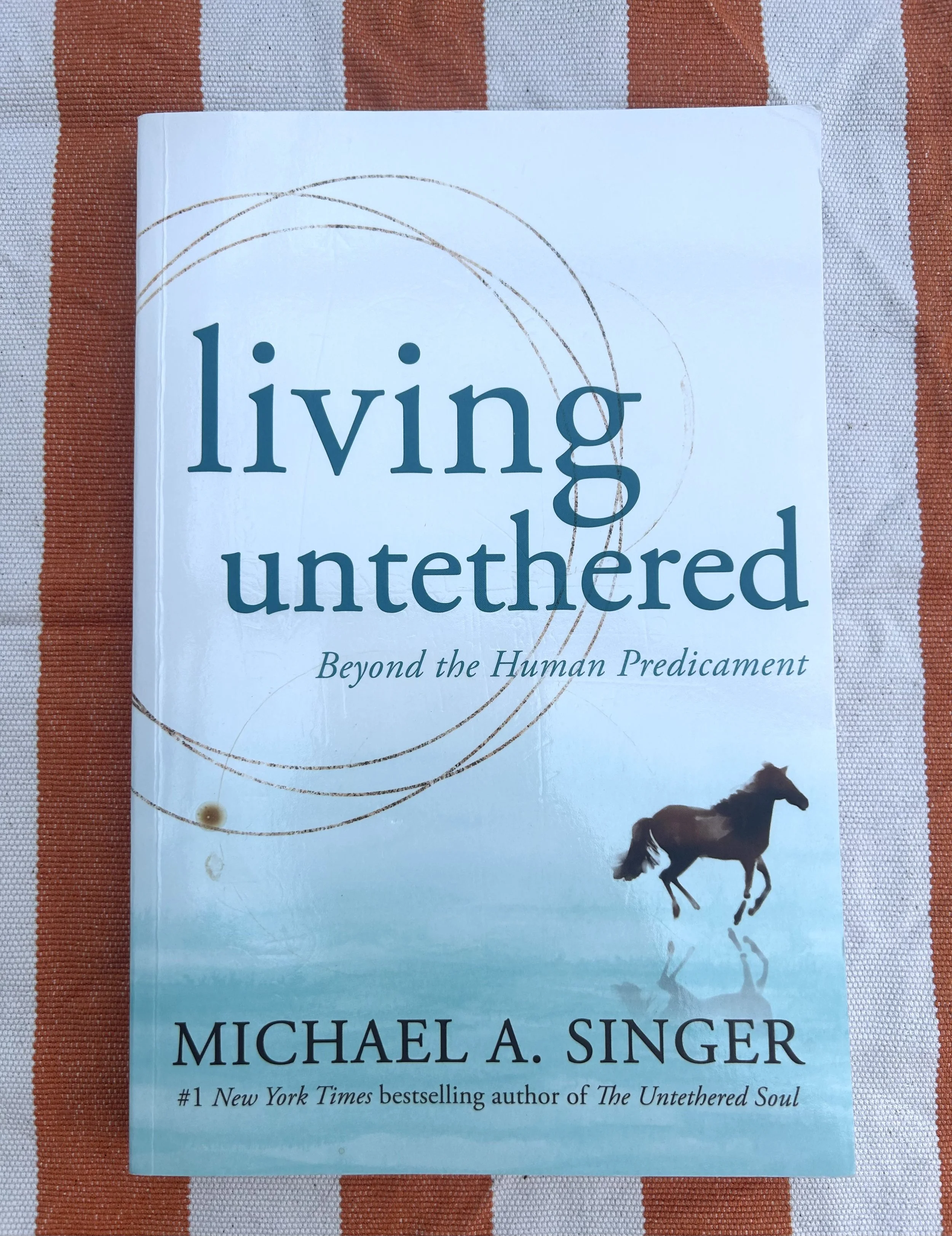 Living Untethered Book