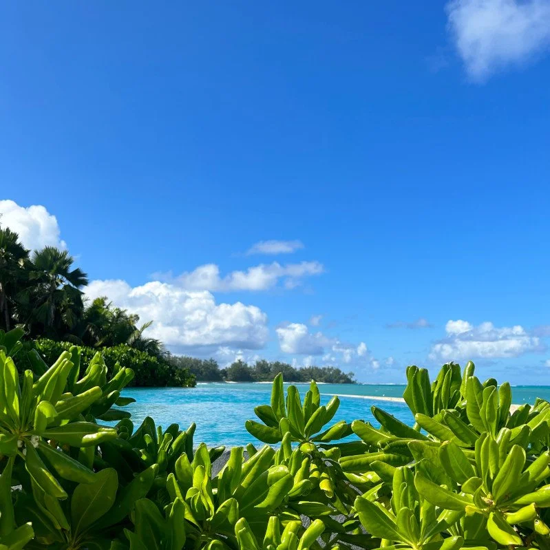 Looking out to ocean at Denis Island
