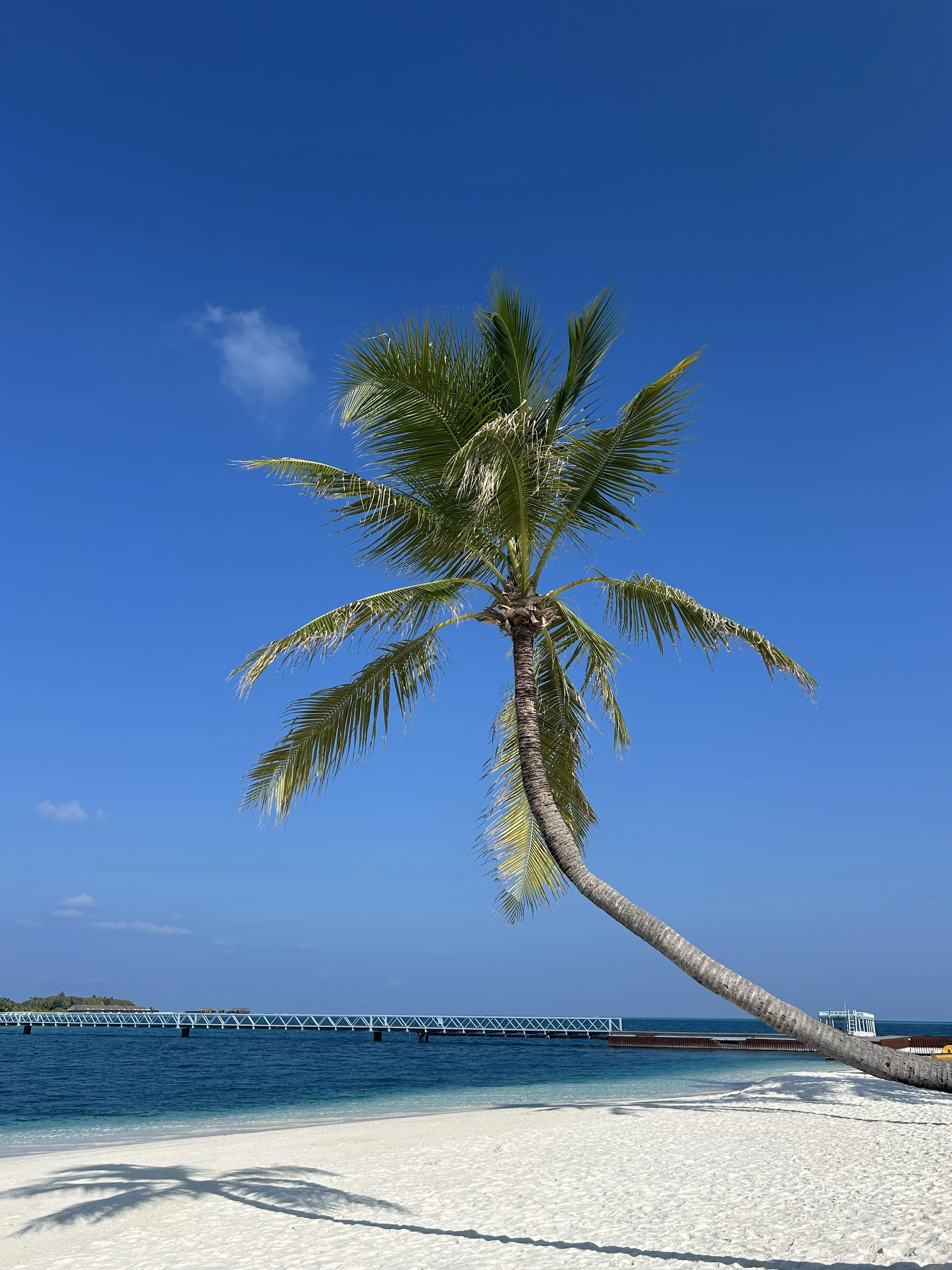 Luxury Maldives Resorts: Island Stays That Go Beyond the Beach