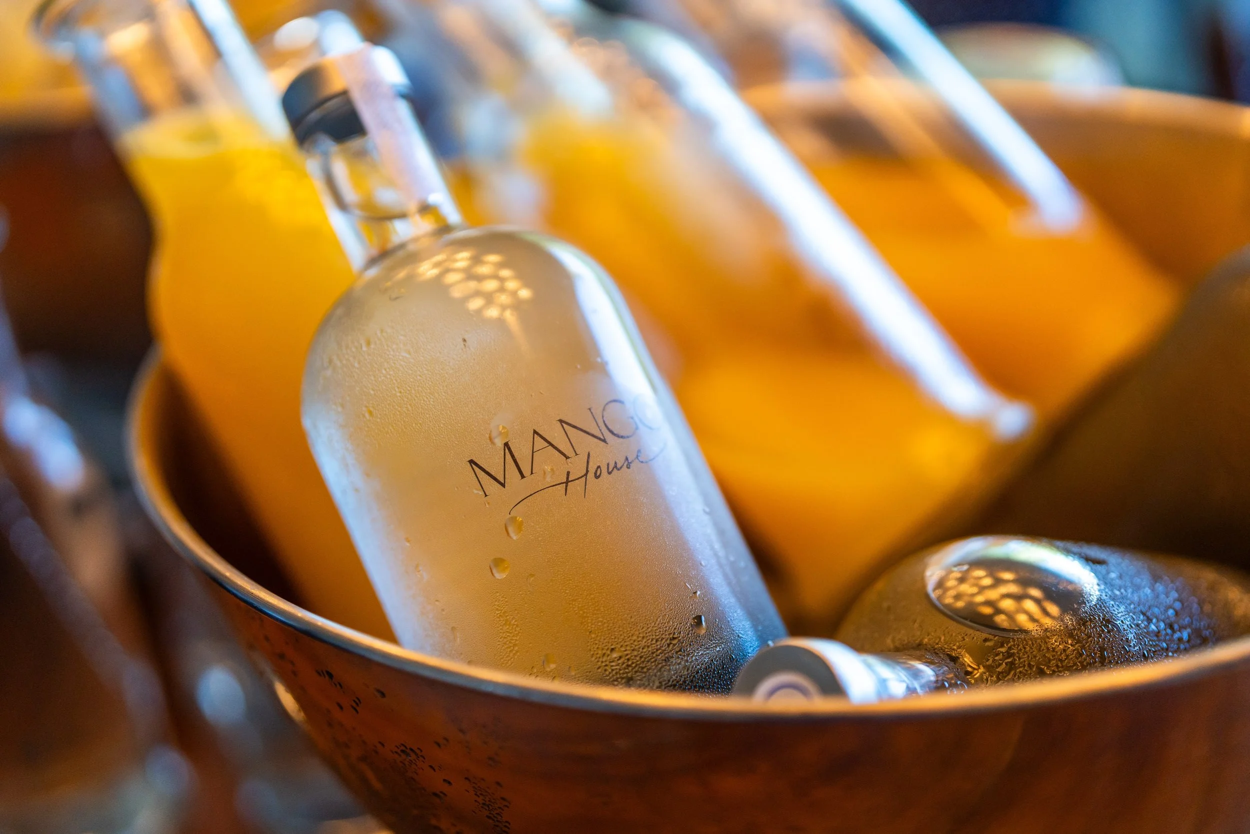 Felix-Studios-Hilton-Mango-House-Jan-2024-656.jpg