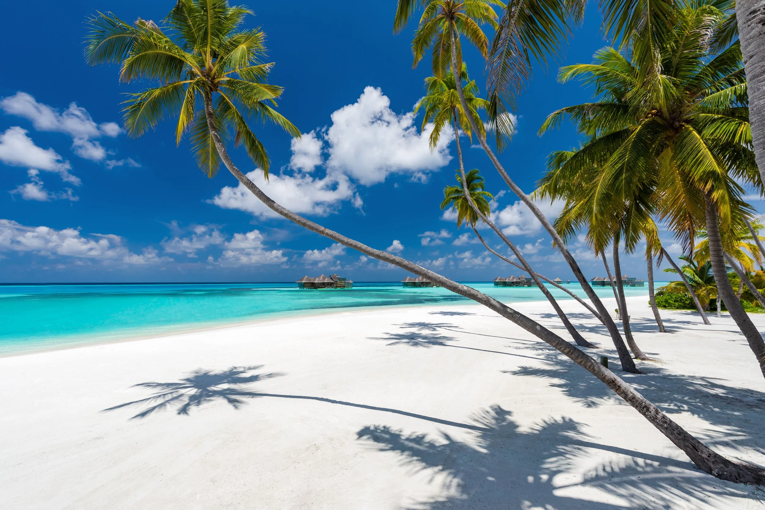Gili Lankanfushi Beach