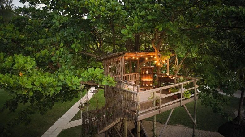 Treehouse_Aperitivo_0041_792x444.jpg