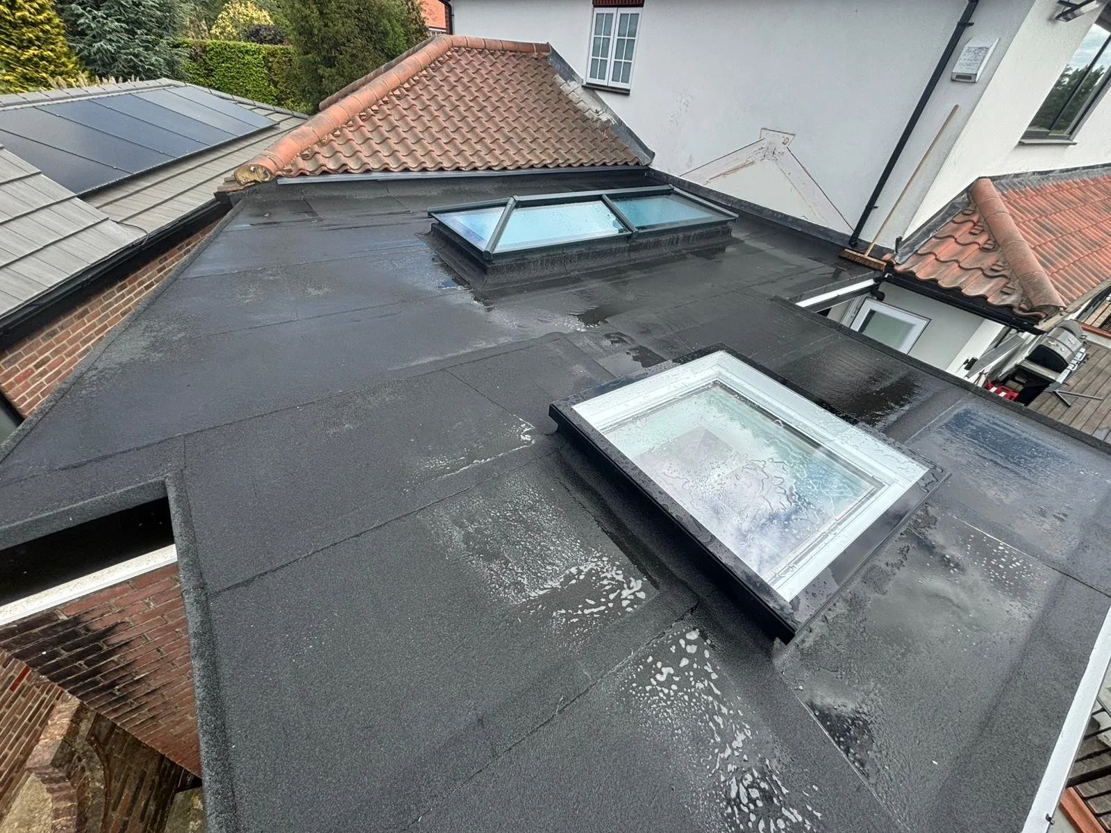 d859a0dd-c5d0-46c4-a873-8acd9eb49060 2.JPG