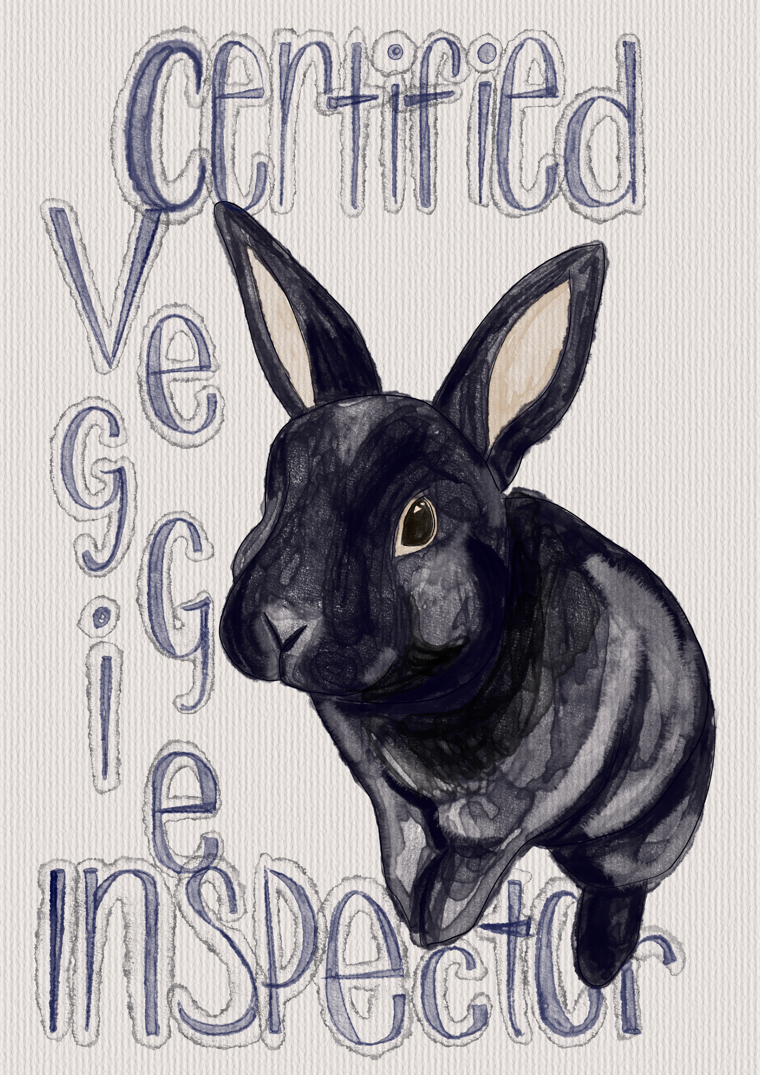 IMG_1231.png