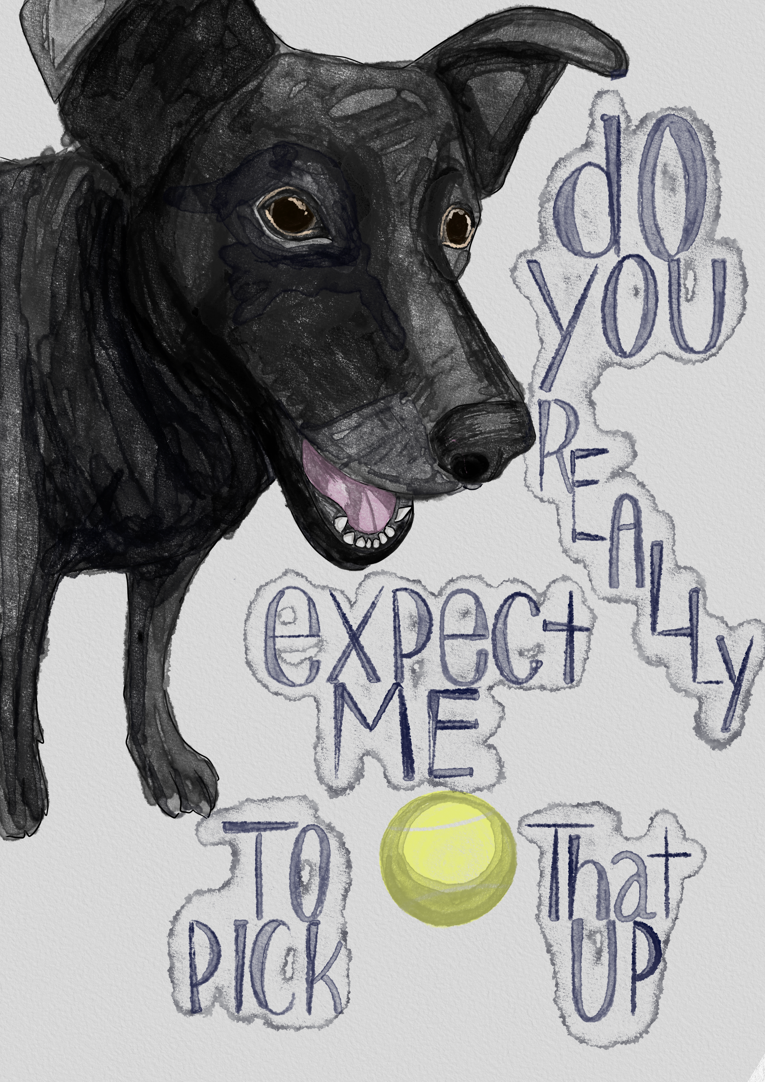 IMG_1234.png