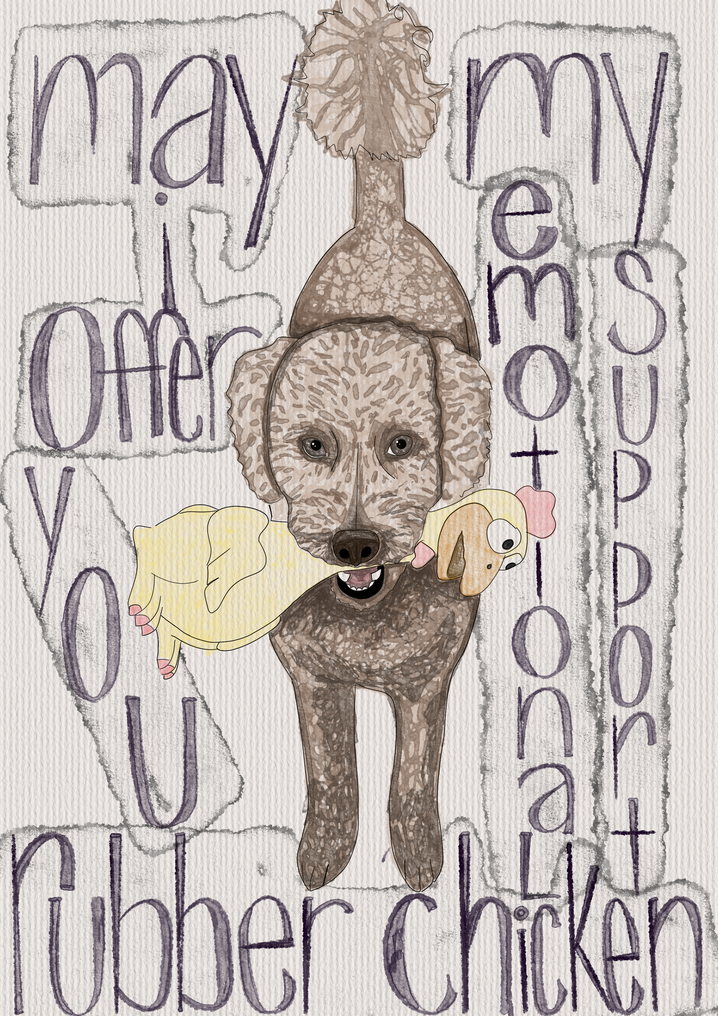 IMG_1237.png