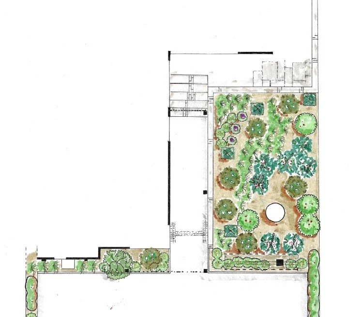 Semi formal evergreen front garden.jpg