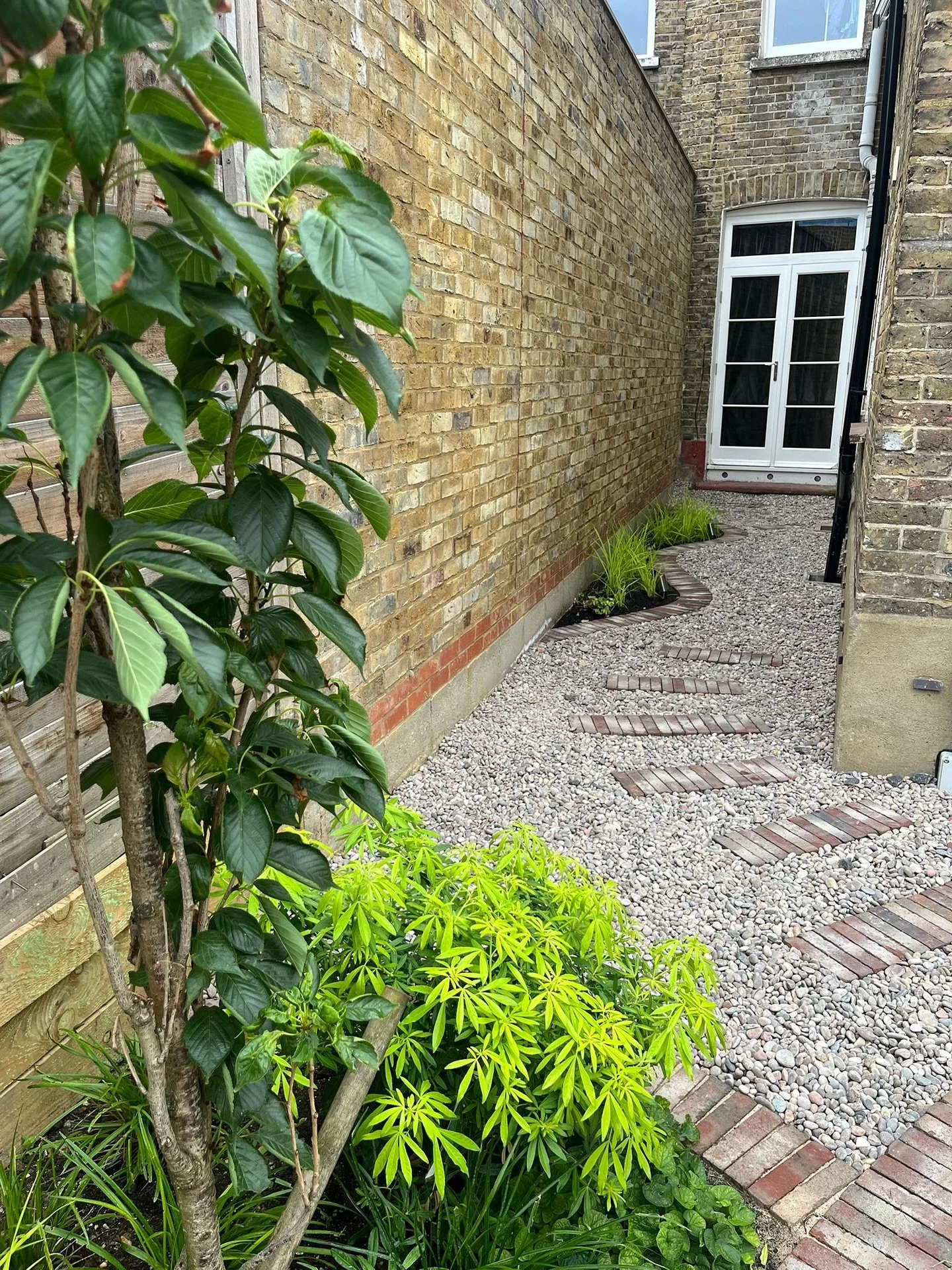 ✨ Turning a forgotten side return into part of the story ✨
In this small Victorian end-of-terrace garden, a stepping stone pathway draws the eye seamlessly from the side return into the rest of the space. Good garden design is about more than plantin