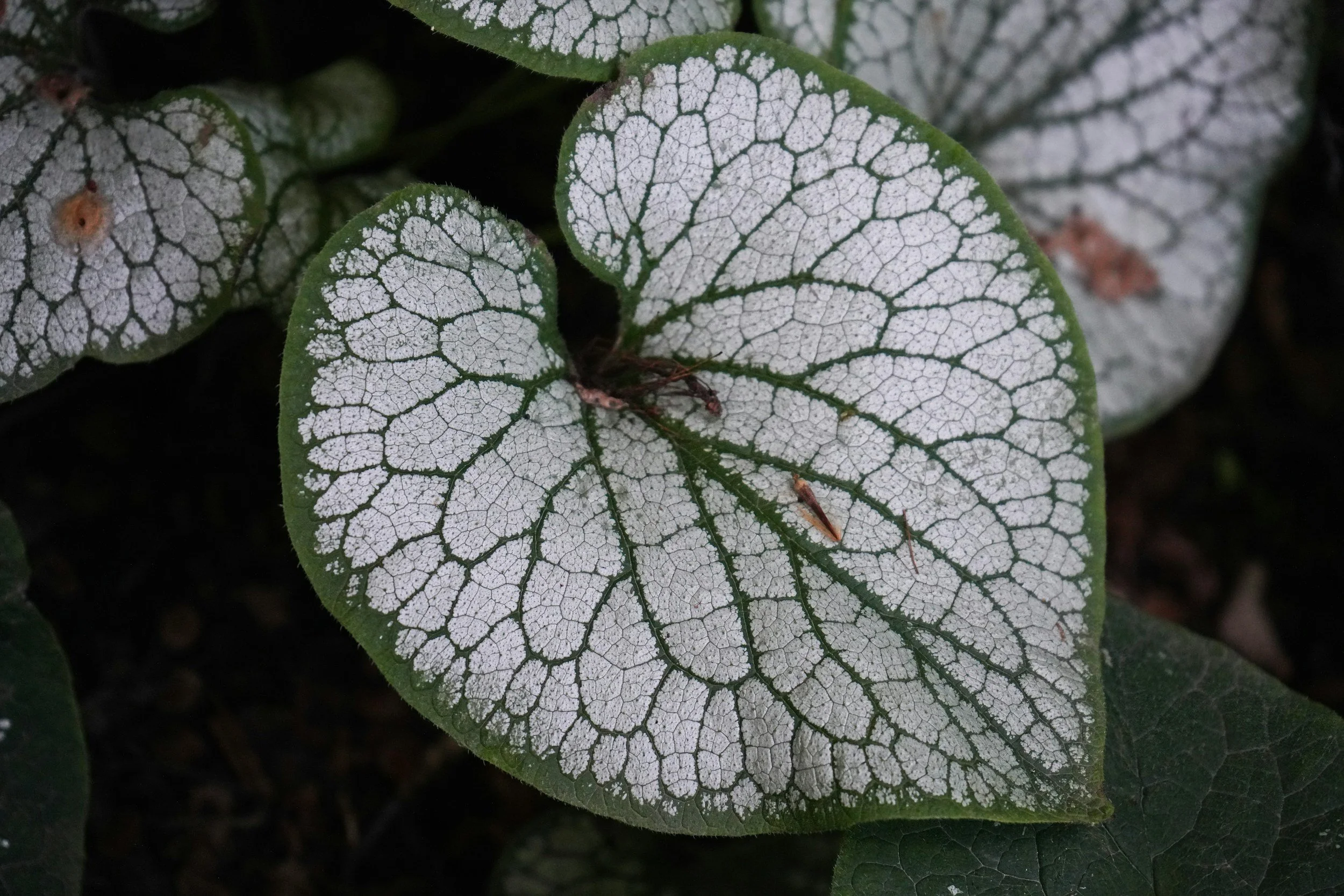 unsplash-image-0znIbhGJdEE.jpg
