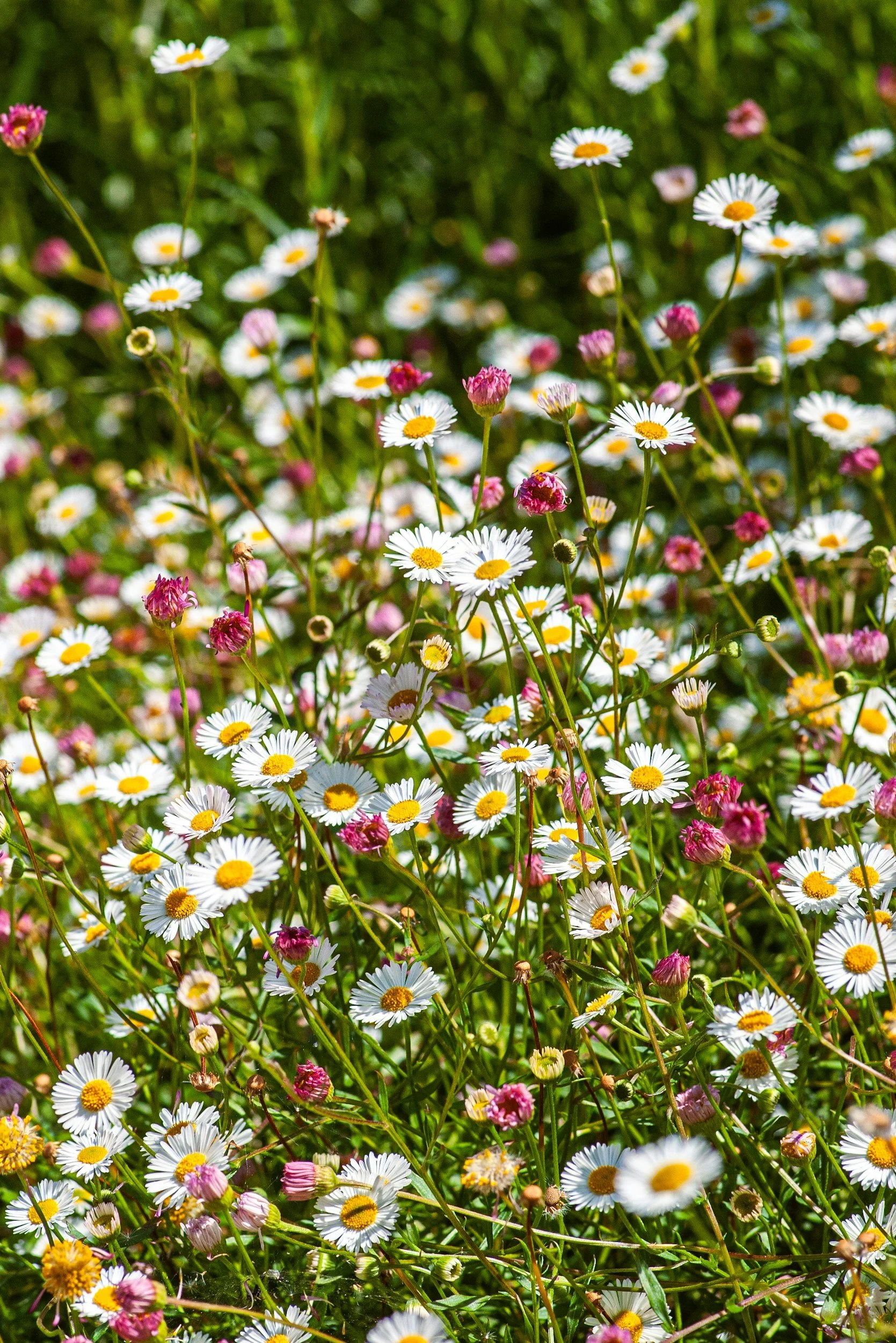 unsplash-image-tbiAIqjff-4.jpg